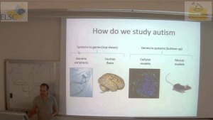 How do we study autism