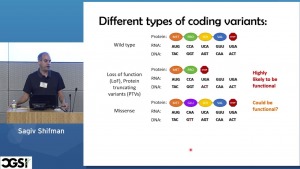 Different types of coding variants
