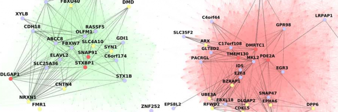 Network
